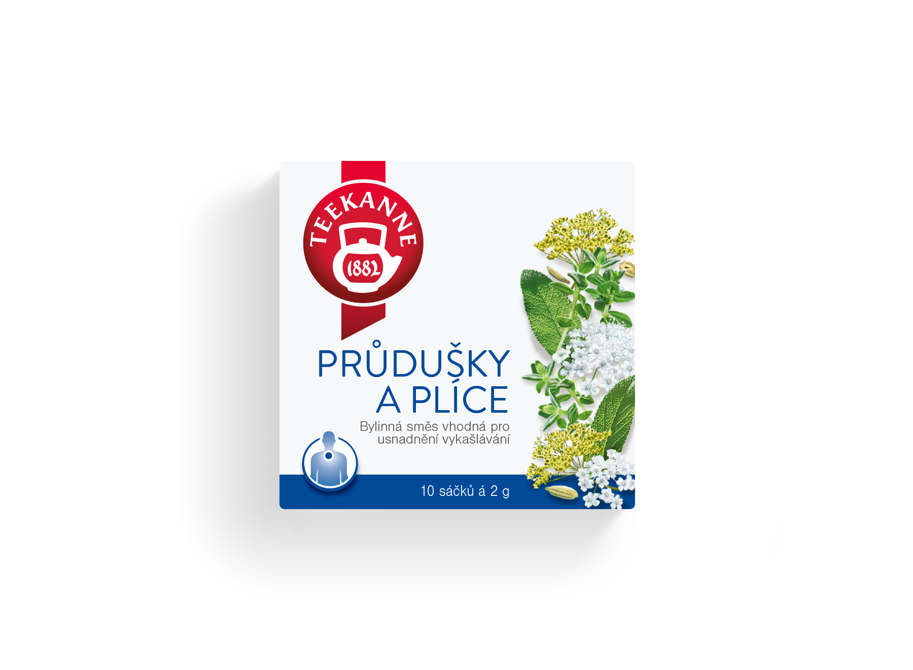 Priedušky a pľúca