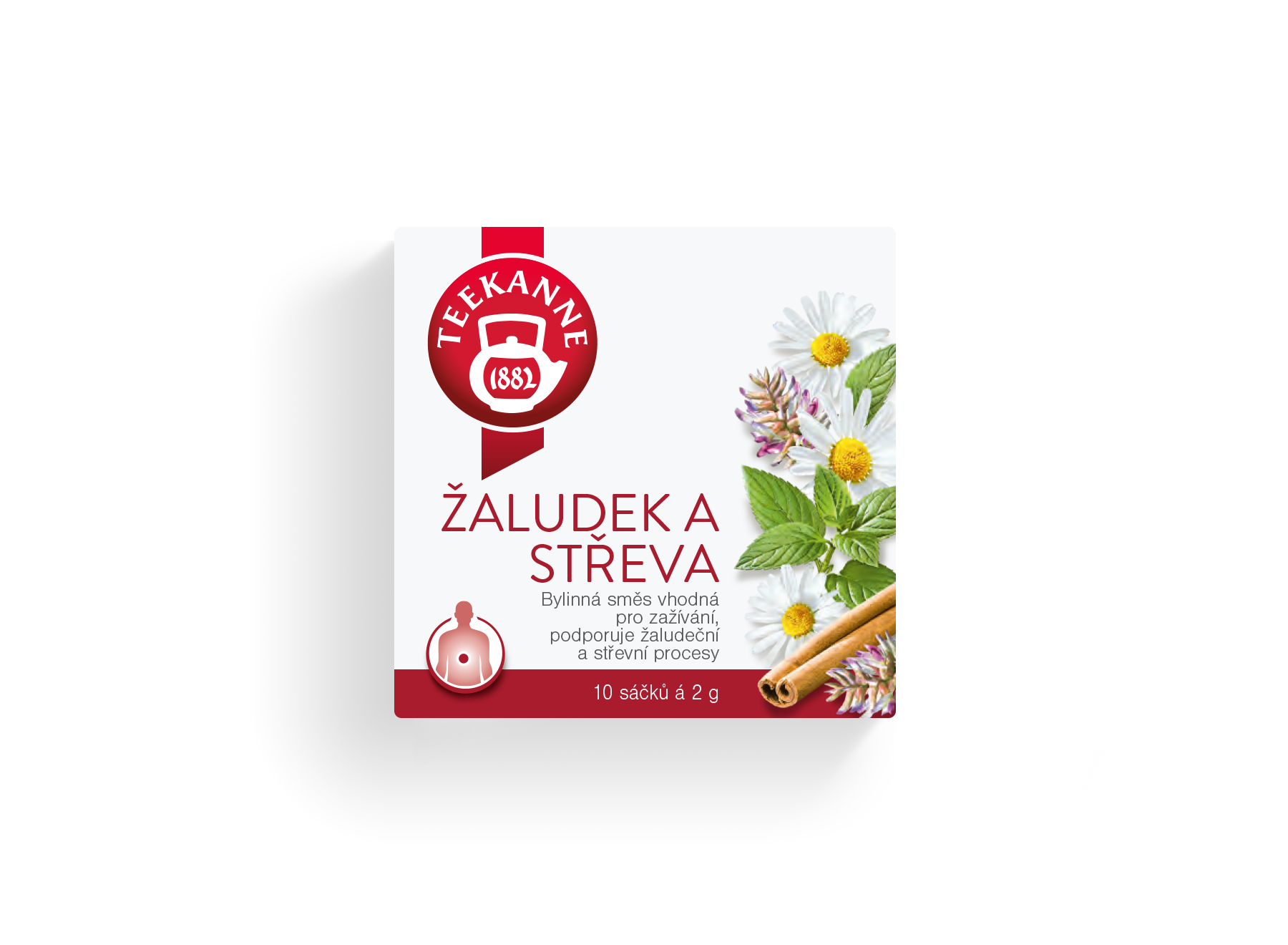Žalúdok a črevá